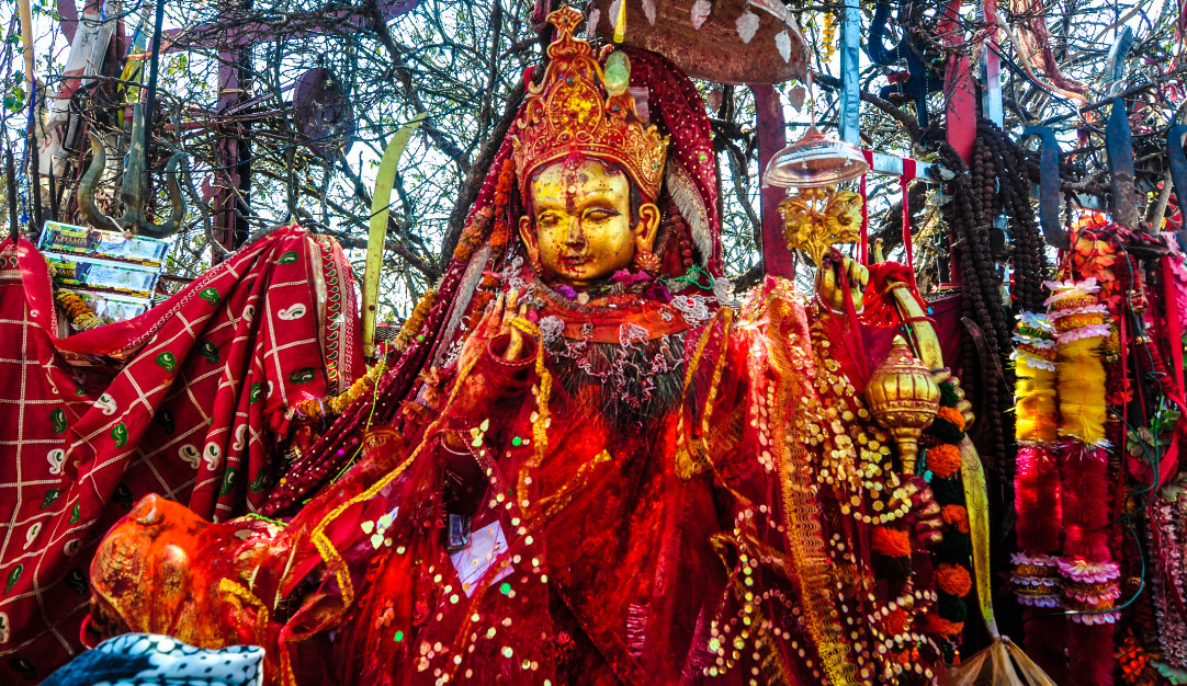 पाथीभरामा एक महिनामा ३५ लाख भेटी रकम सङ्कलन, कुल भेटी रकम आठ करोड ७० पुग्यो