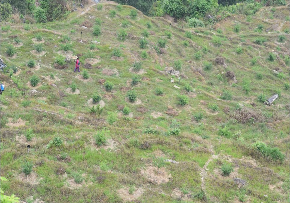 धनगढी उपमहानगरपालिकाको ‘जग्गासम्बन्धी कार्यविधि २०८०’ कार्यान्वयन नगर्न माग