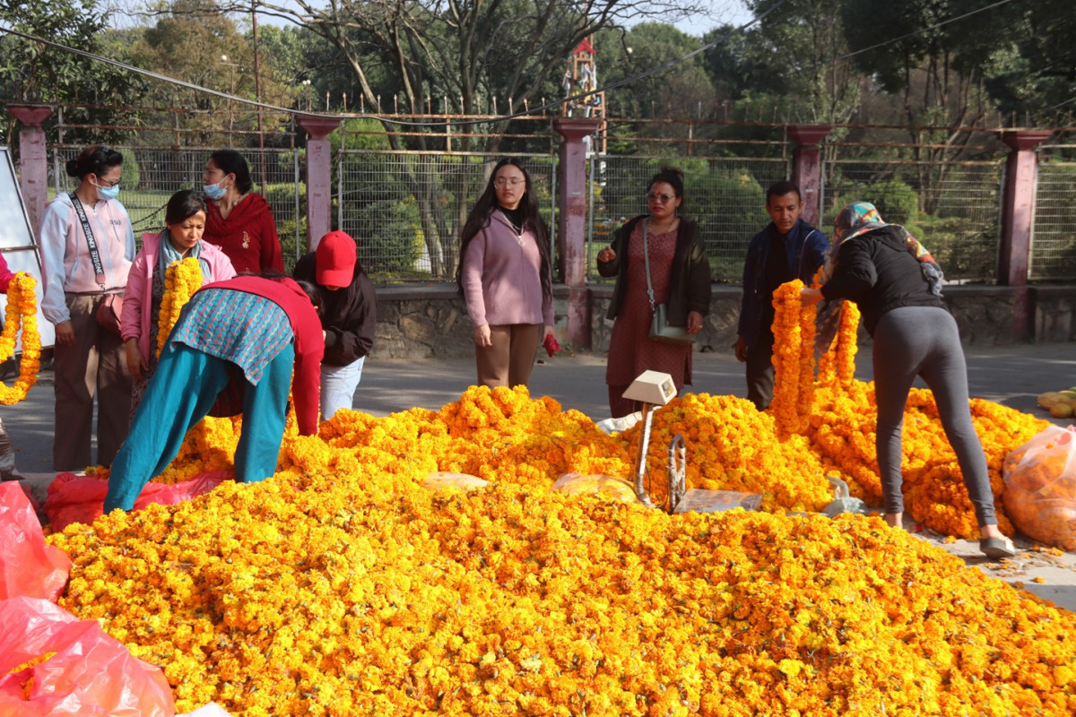 तिहारमा फूलको कारोबार कम भएपछि व्यवसायी चिन्तित