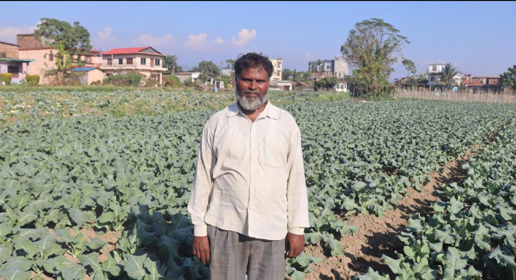 तरकारीले बजार नपाउँदा किसान चिन्तित, उपभोक्ताले भने चर्को मूल्य तिर्न बाध्य