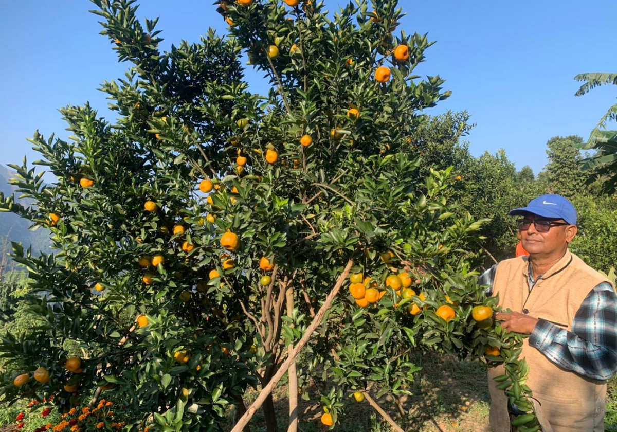 कृषि कर्मबाटै चिनिएका गुप्तप्रसाद, कृषिमा दुई करोड ५० लाख बढी लगानी