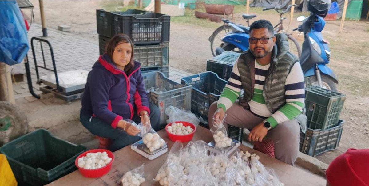 दुई दशक विदेशमा बिताएका सुवेदीको च्याउ खेती : लगानी ३ करोड, ३० जनालाई रोजगारी !